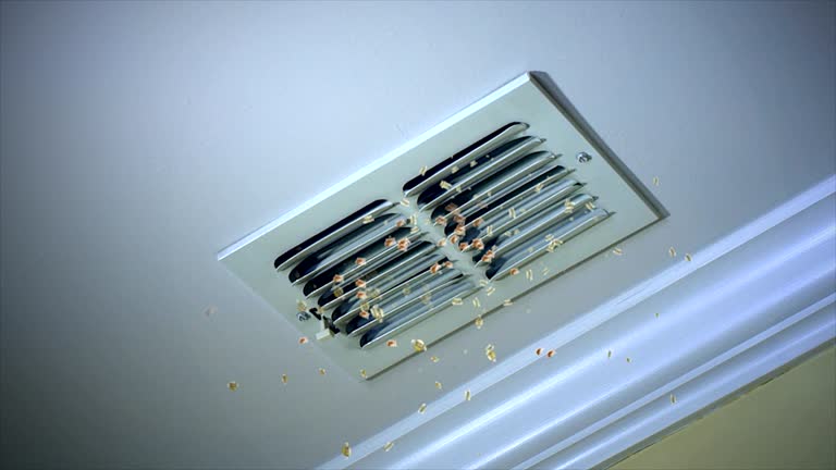 Best Air Duct Cleaning Cost  in Lowesville, NC